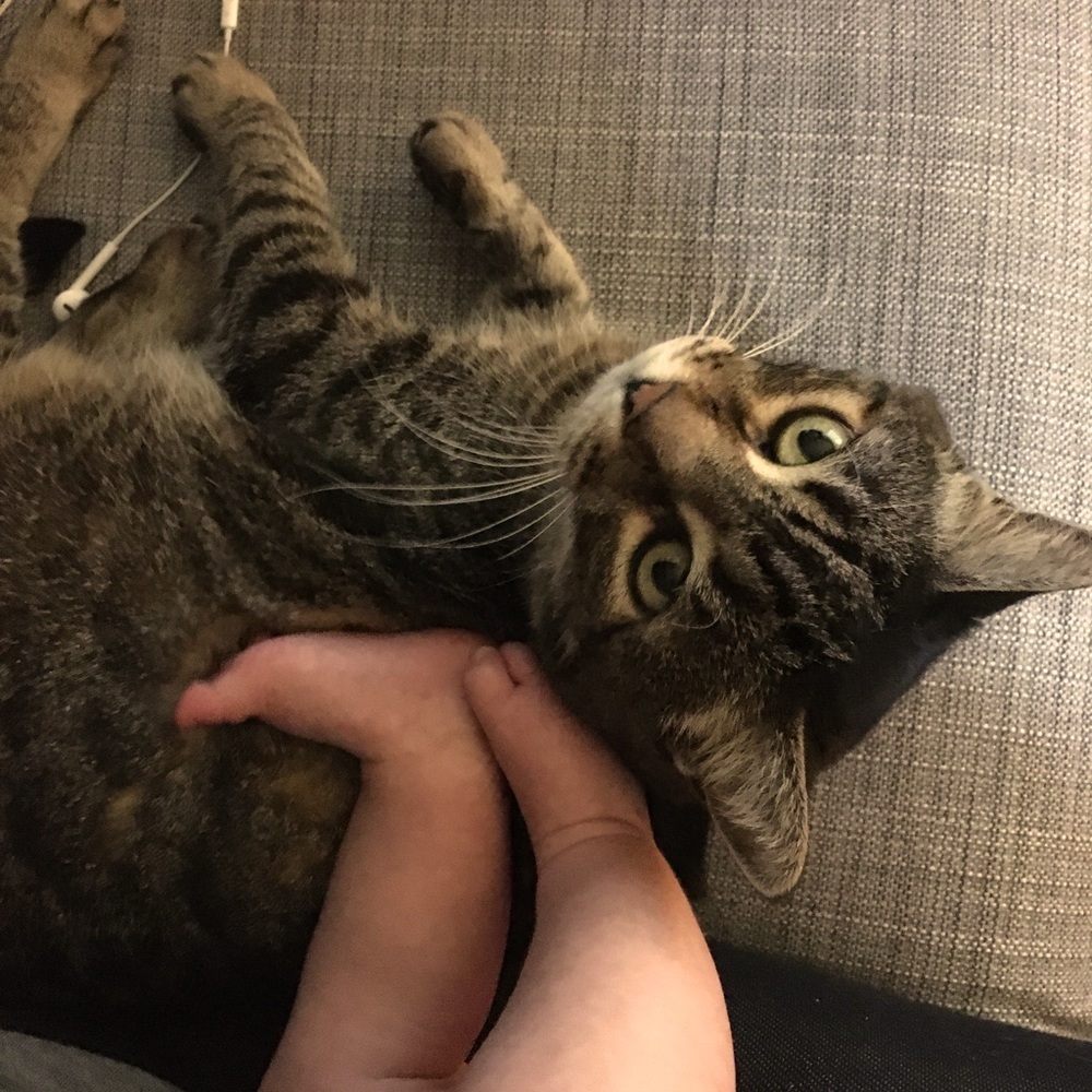 Meet your Posher, Lena